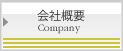 ЊTv